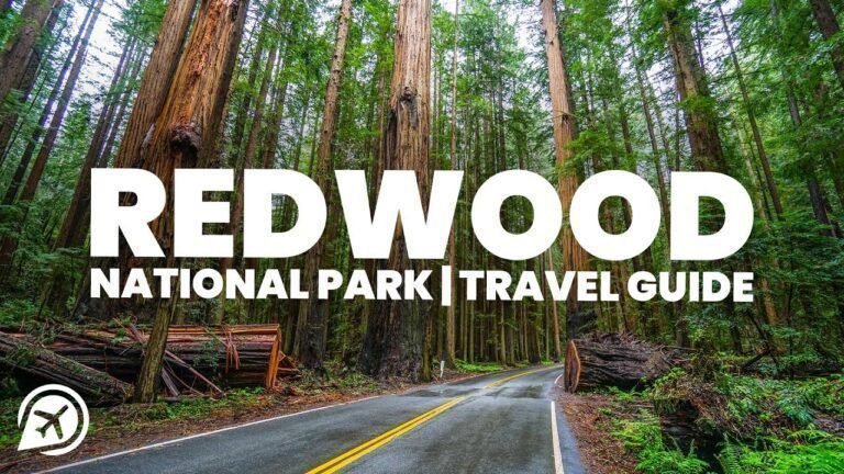 REDWOOD NATIONAL PARK Travel Guide