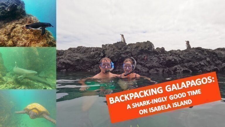 Island travel: Wildlife Encounters