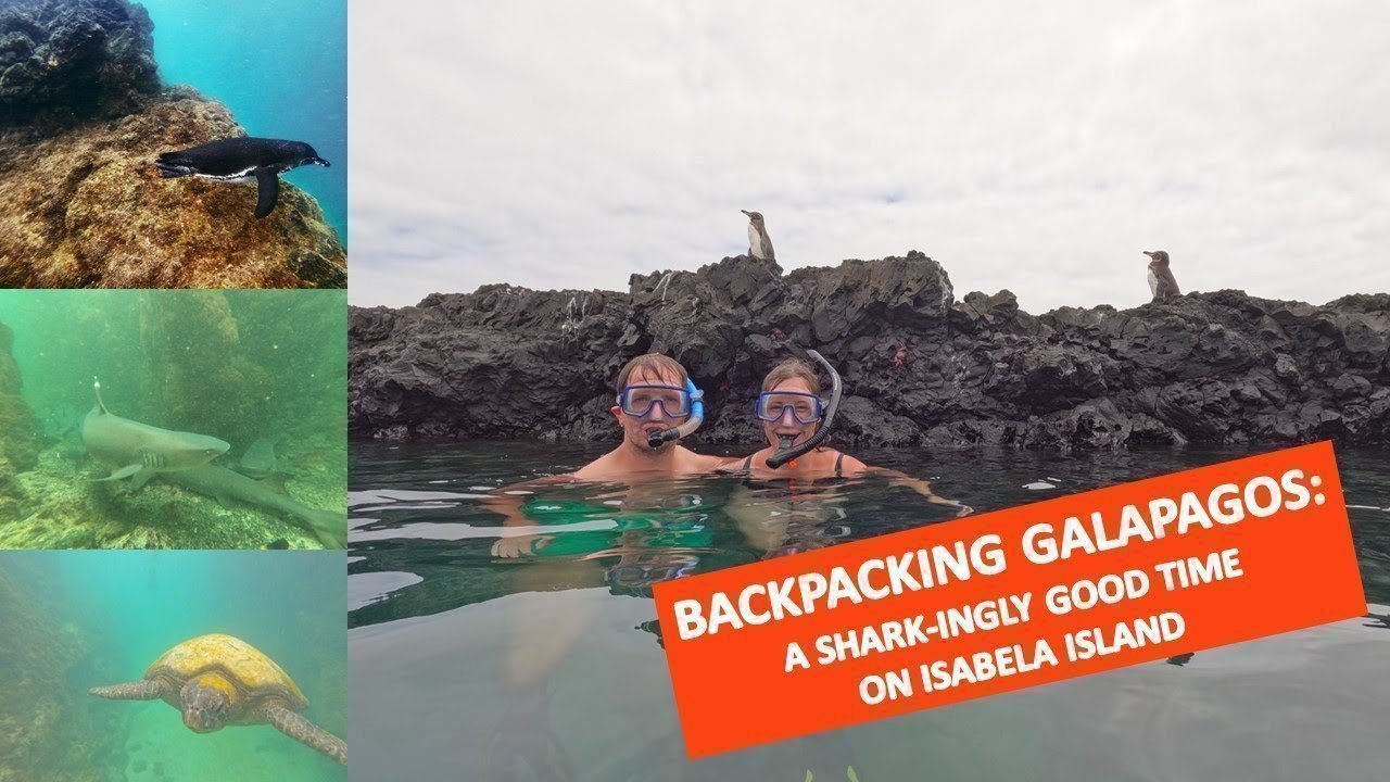 Island travel: Wildlife Encounters