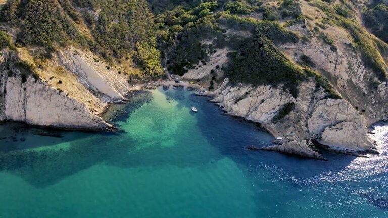 Beach | Autumn | Valley | Forest |