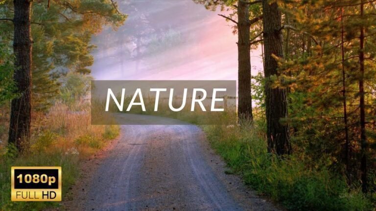 Beautiful Nature | DRONE | Free HD