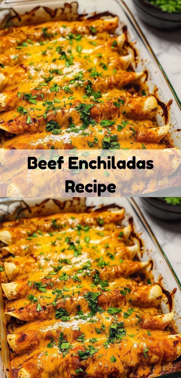 Beef Enchiladas Recipe