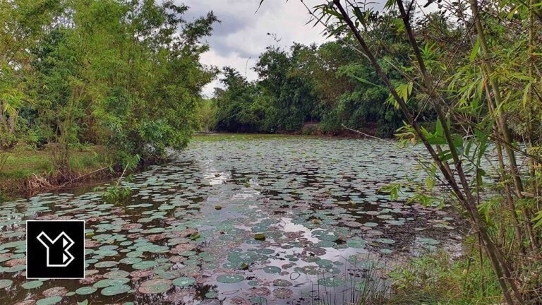 Romantic Getaway: Nature Retreats