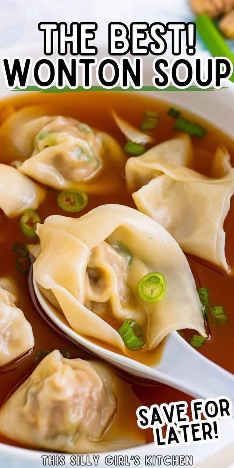 Easy Wonton Soup Recipe