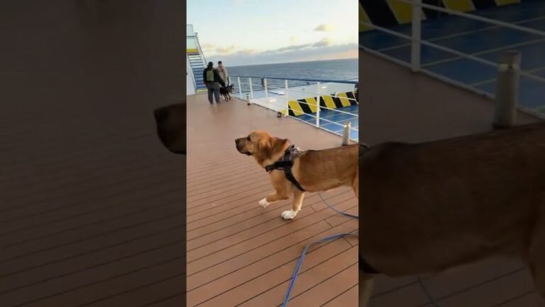 Mediterranean Cruises