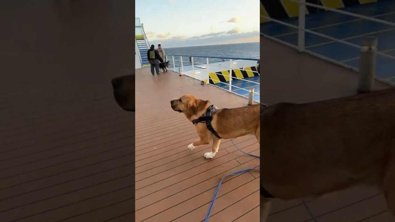 Mediterranean Cruises