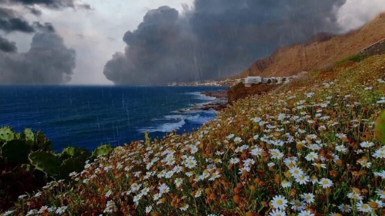 Heavy Rain | Weather | Waterfall | City