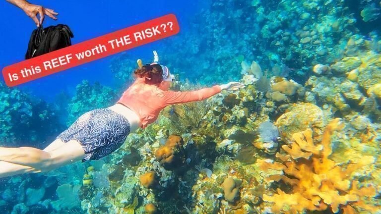 How to Snorkel the Barrier Reef in Roatán, Honduras from