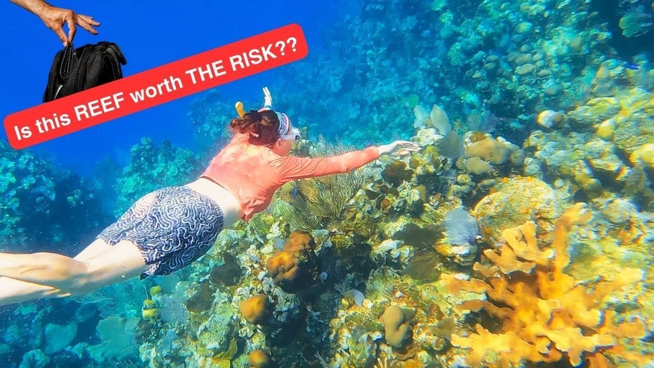 How to Snorkel the Barrier Reef in Roatán, Honduras from