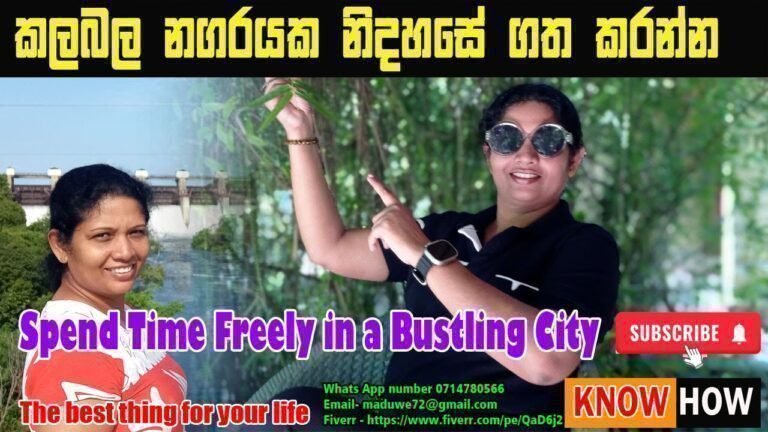 solo travel: Travel Tips