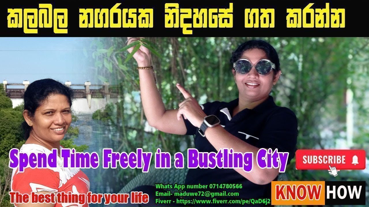 solo travel: Travel Tips