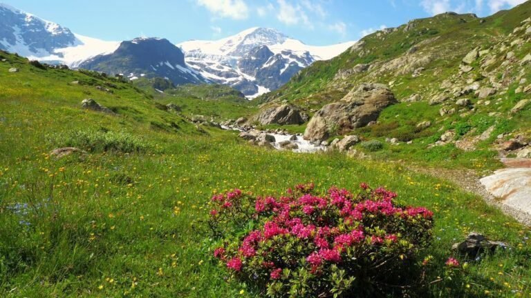 Nature | Mountains | Snow | Waterfalls |