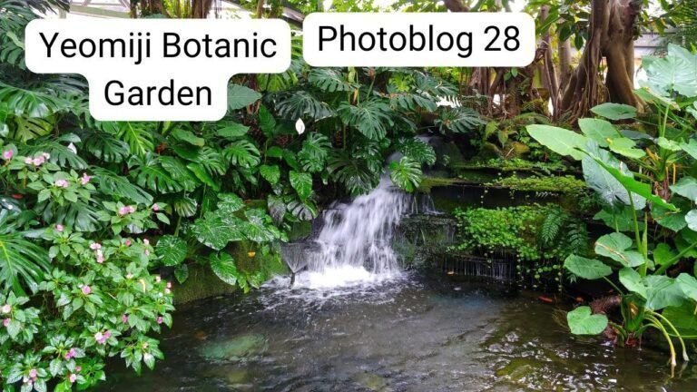Island travel: Botanical Gardens
