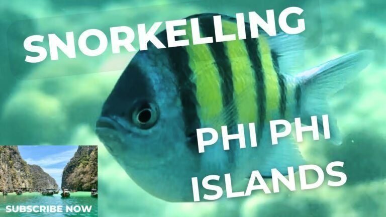 Island travel: Snorkeling Adventures