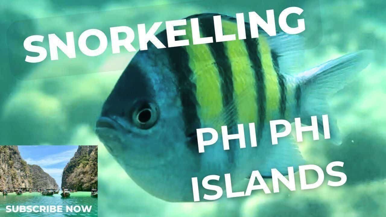 Island travel: Snorkeling Adventures