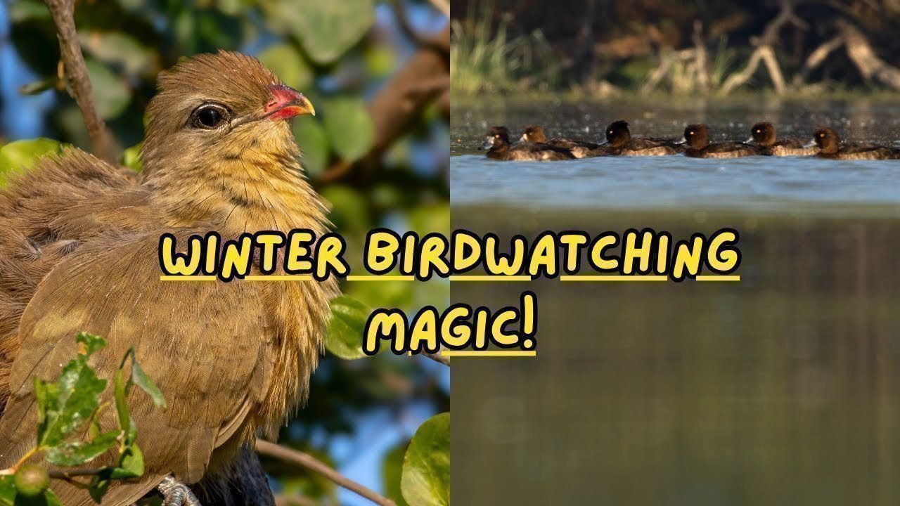 Winter adventure travel