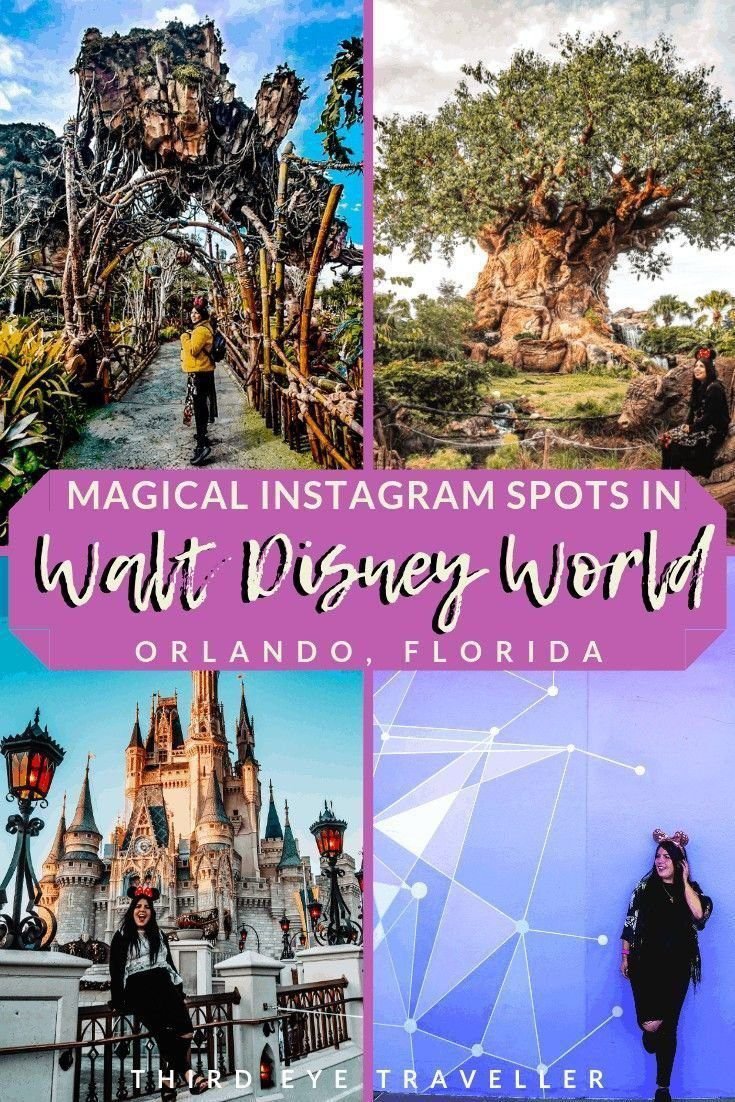 20 Magical Instagram Spots in Walt Disney World