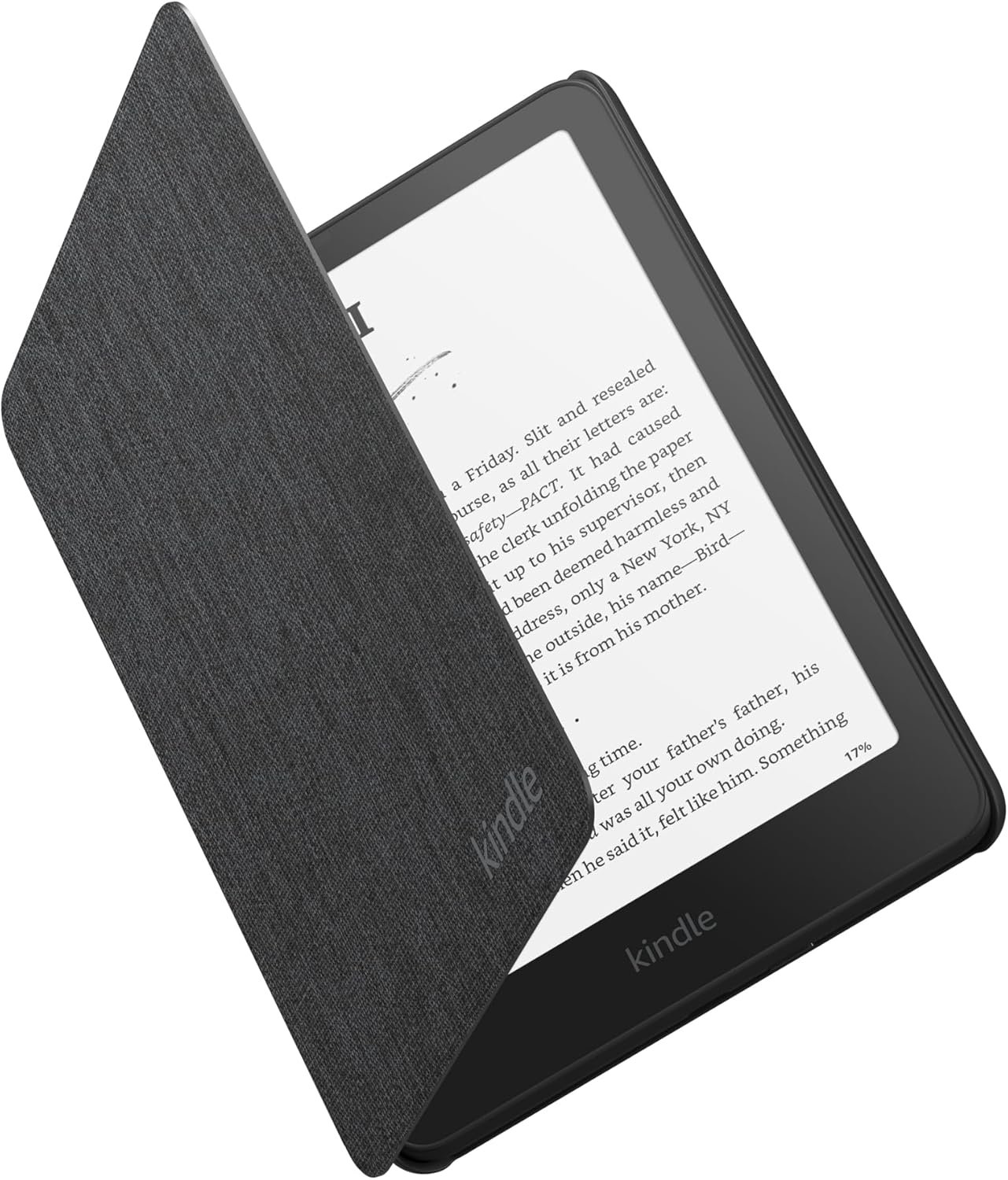 Kindle accessories