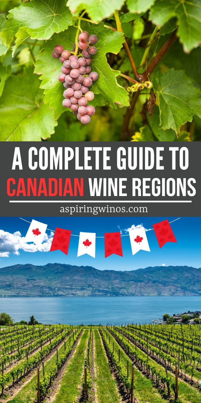 A Guide to Canadian Wine