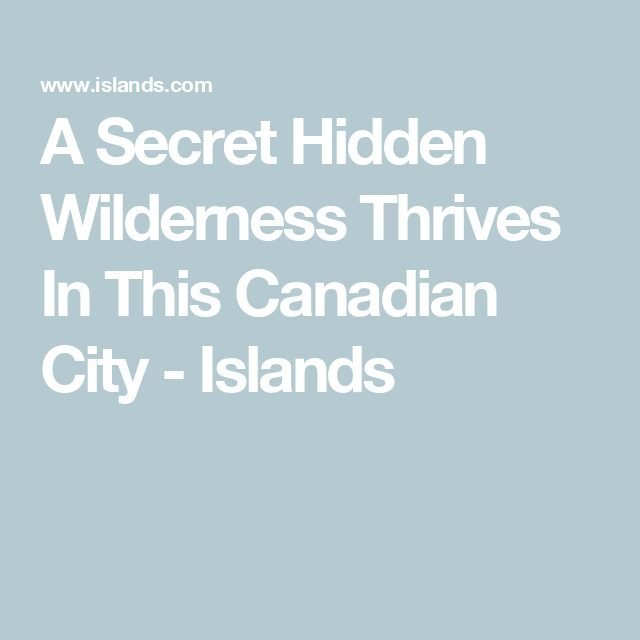 A Secret Hidden Wilderness Thrives In This Canadian City - Islands