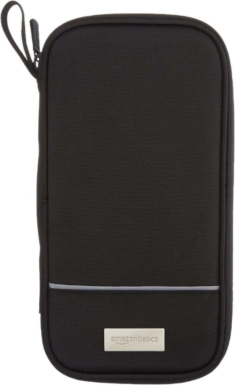 Travel organizer for documents