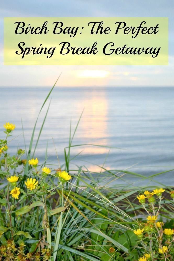 Birch Bay: The Perfect Spring Break Getaway