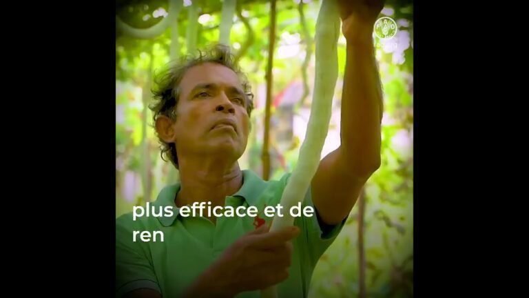 Travel and food Sustainable food