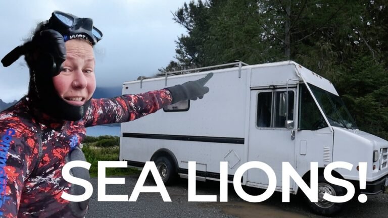 Island travel: Island Camping