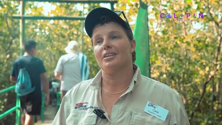 Ship travel: Expedition Cruises