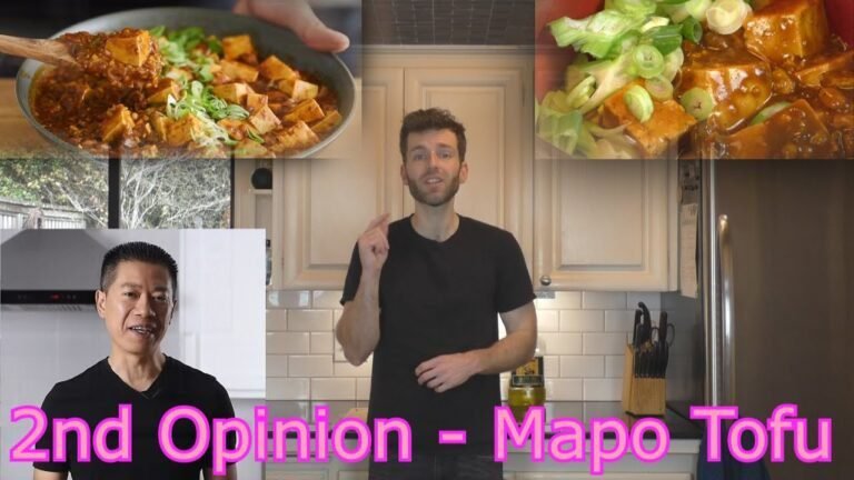 Chinese Food Mapo Tofu