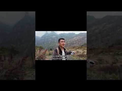 Travel and food Cultural food