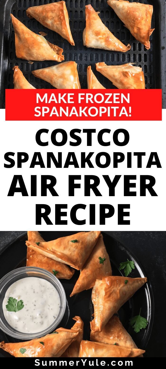Costco Spanakopita (Air Fryer Frozen Spanakopita Cuisine Adventures)