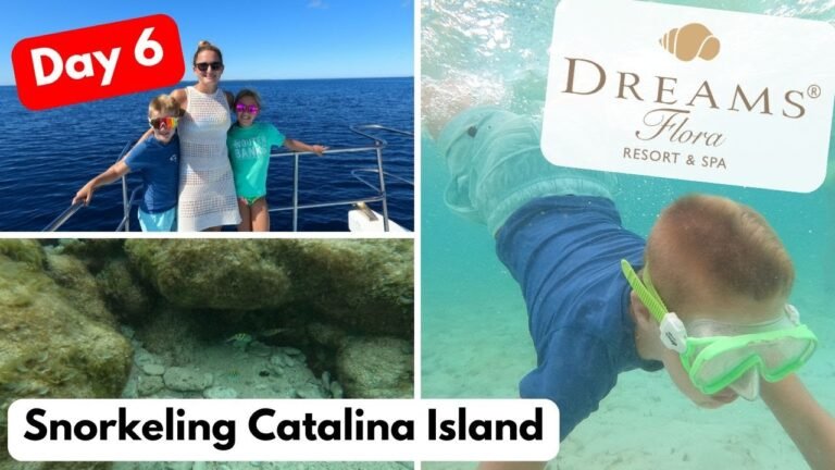 Island travel: Island Tours