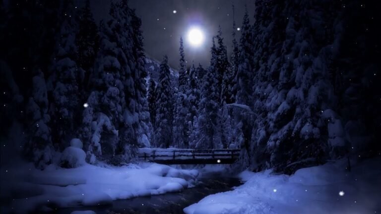 Deep forest | DRONE | Relaxing |