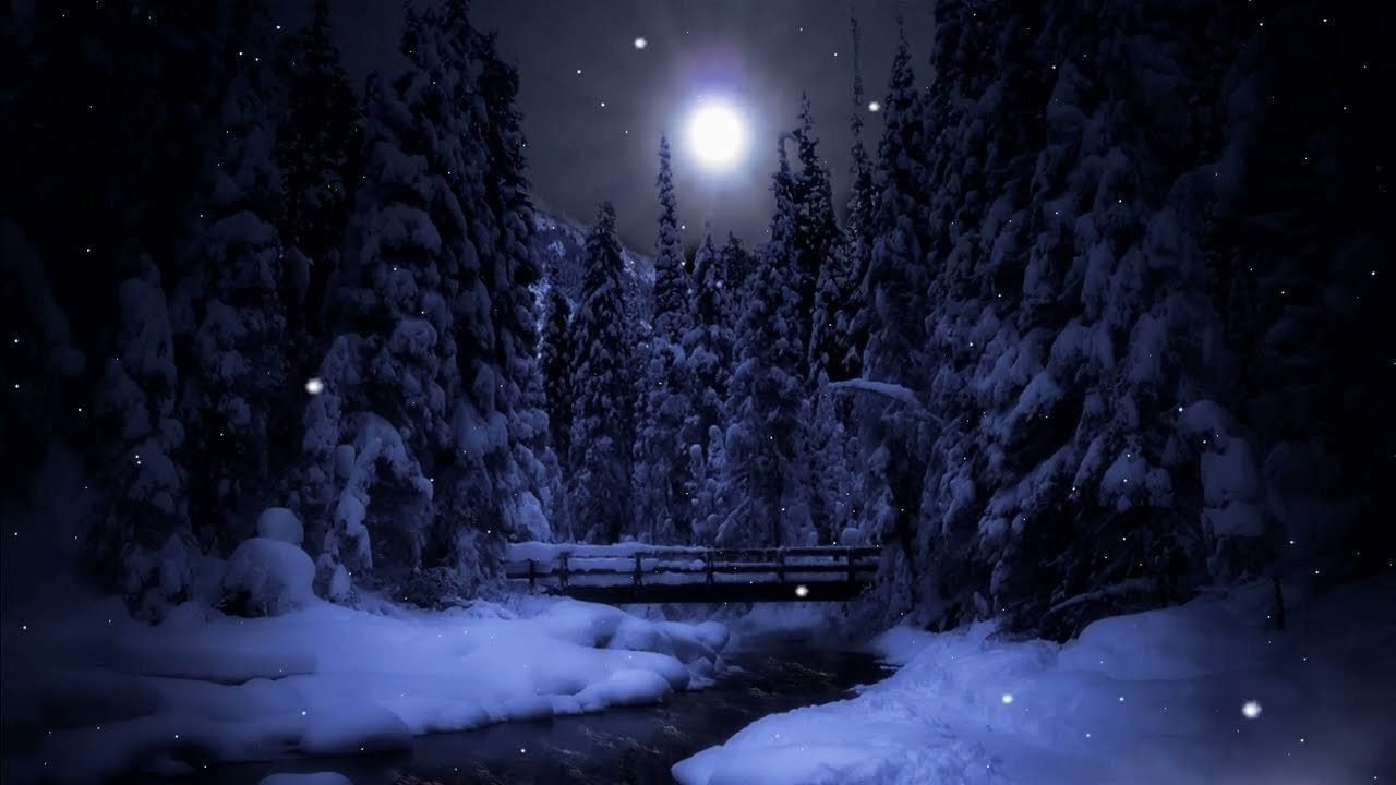 Deep forest | DRONE | Relaxing |