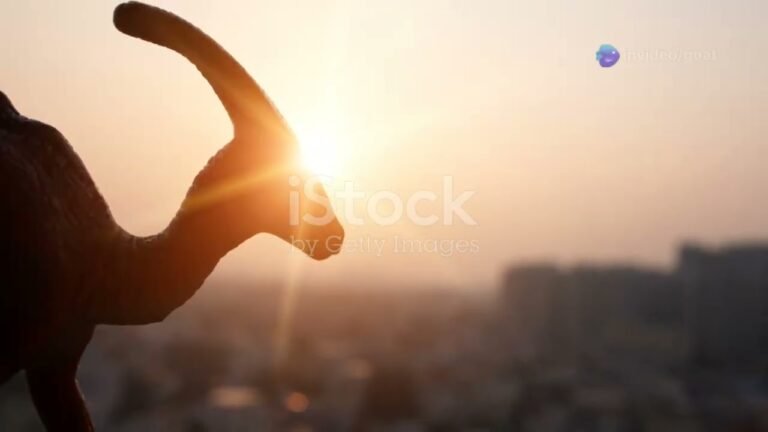 Train travel: Commuter Rail