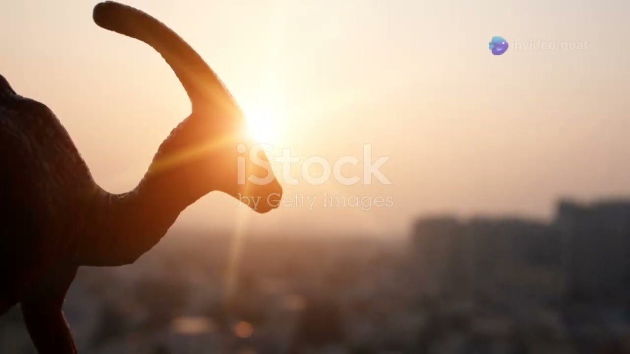 Train travel: Commuter Rail