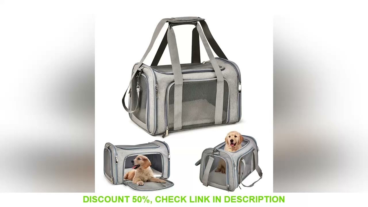 Airplane travel: Pet Travel