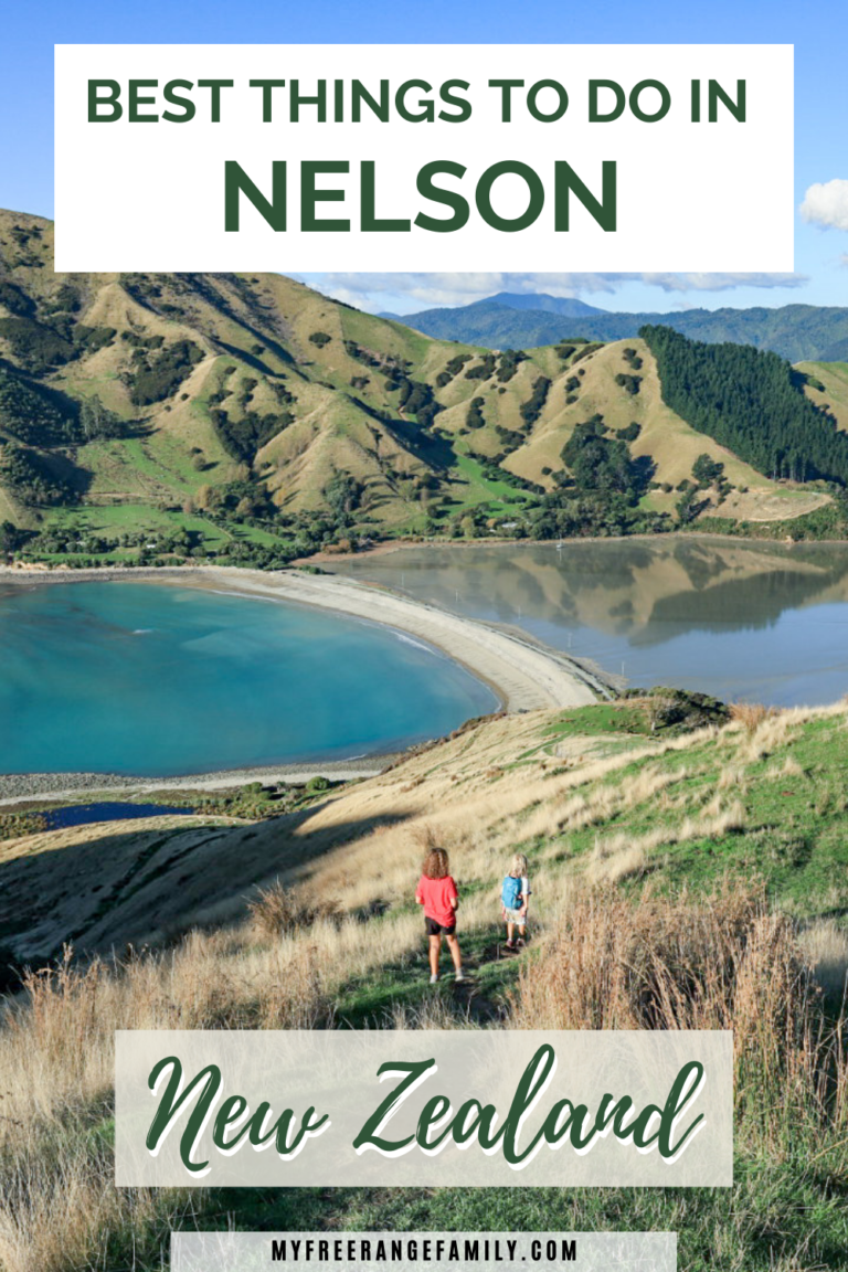 Here are the Best Things to do in Nelson New Zealand! Stop Scrolling and Get Our Guide!