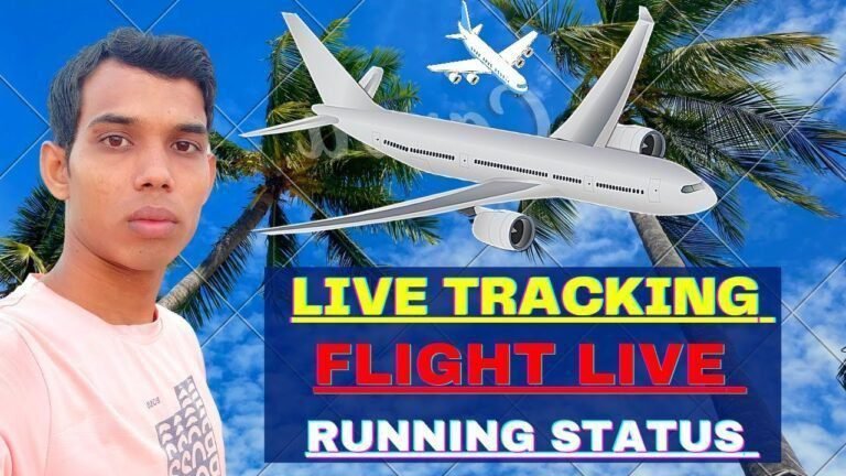 Airplane travel: Flight Status