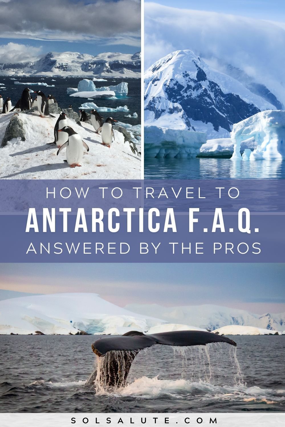 How to travel to Antarctica