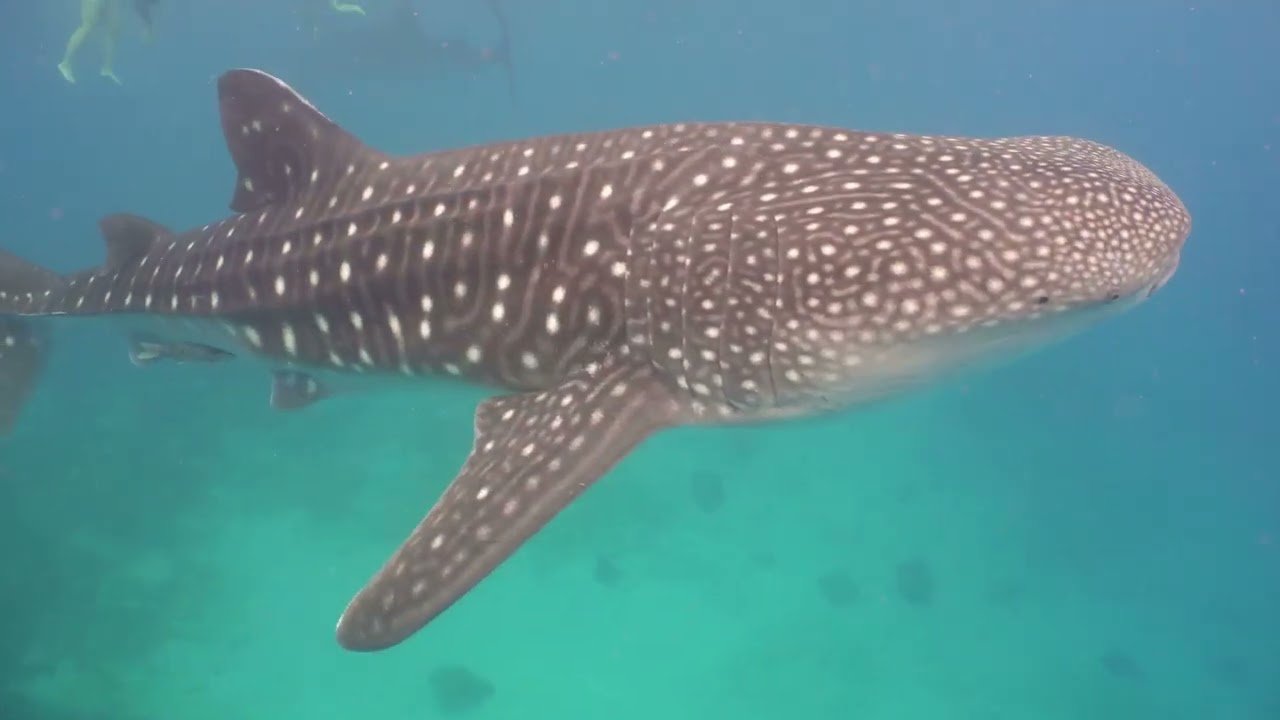 Island travel: Historical Landmarks