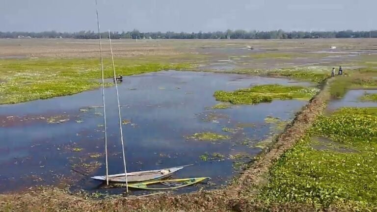 Train travel: Travel Insurance