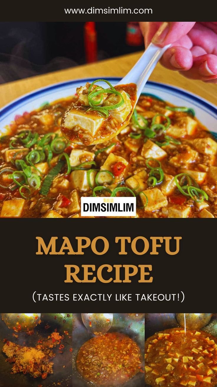Restaurant-Style Mapo Tofu: Easy Chinese Recipe ~ DIMSIMLIM