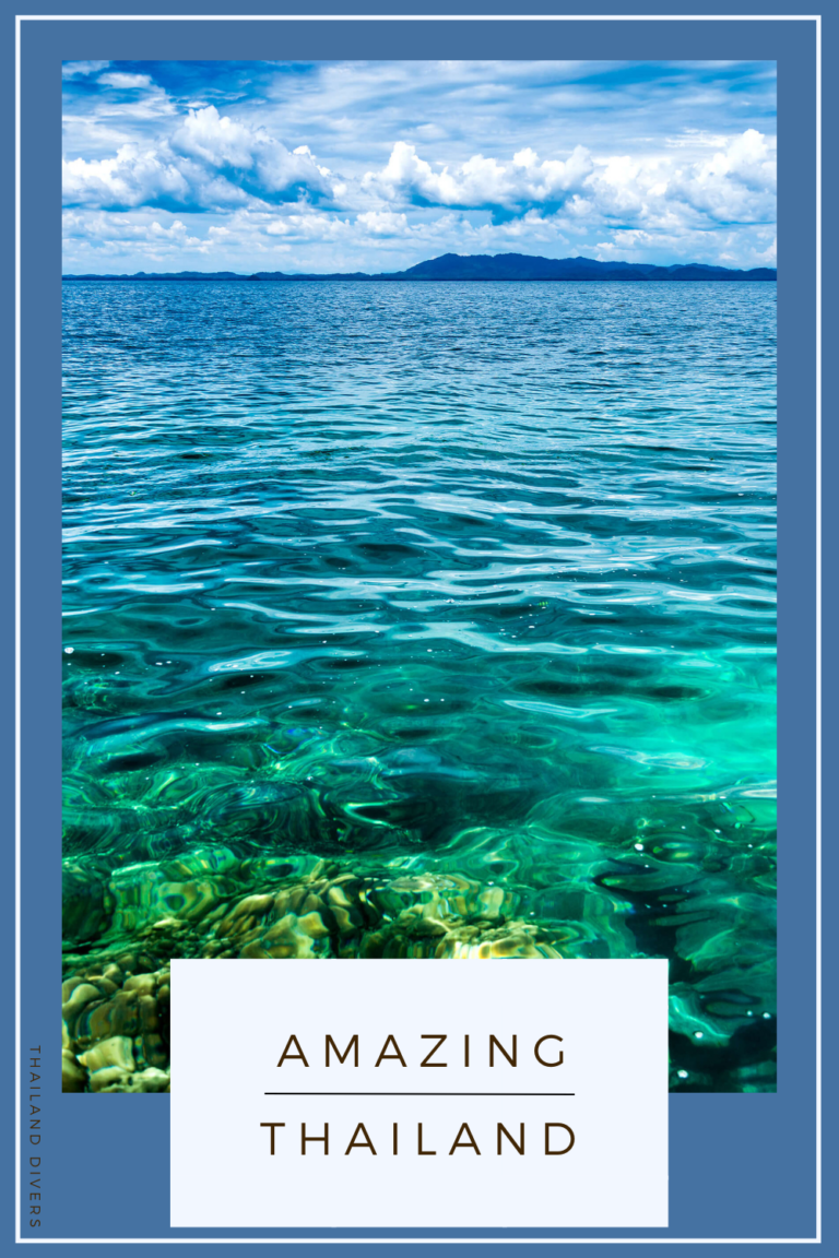 Thailand's Diverse Offerings Mean Everyone Will Be Pleased!