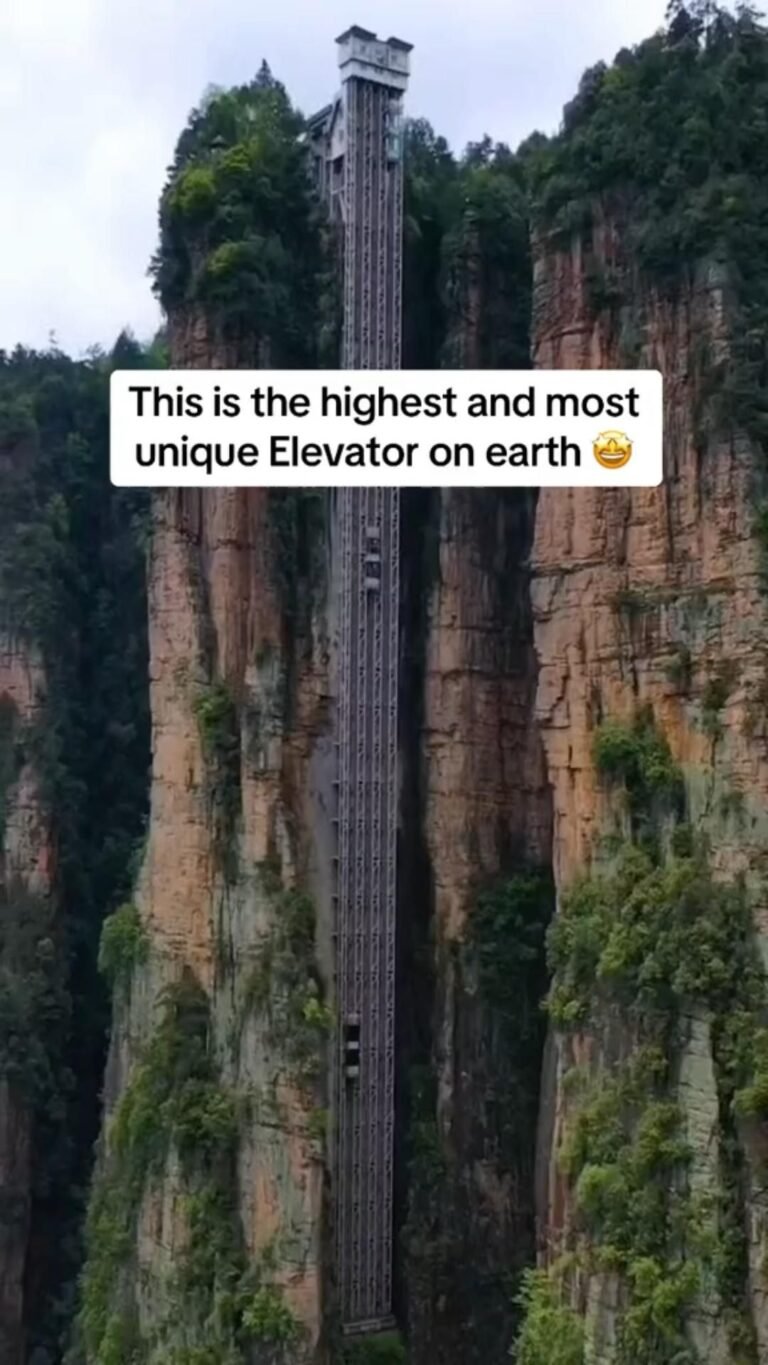 The Bailong Elevator 🛗 🇨🇳