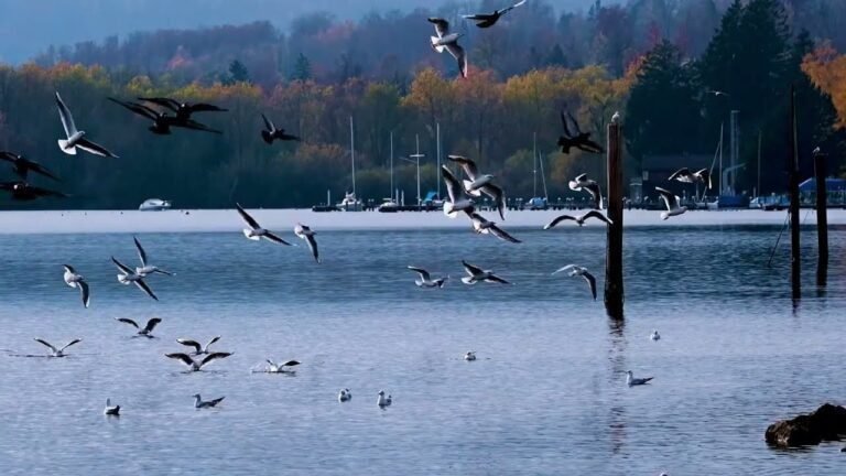 The Breathtaking Beauty of Nature | Free