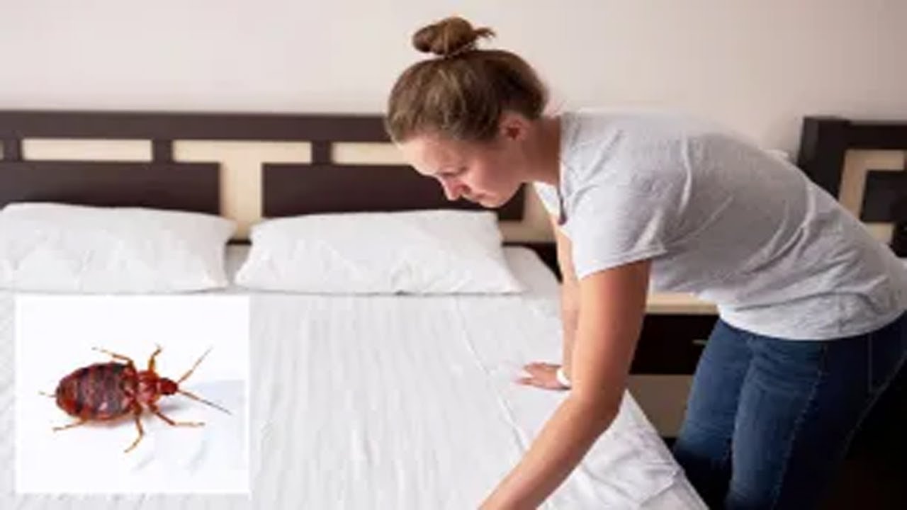 Airplane travel: Group Travel