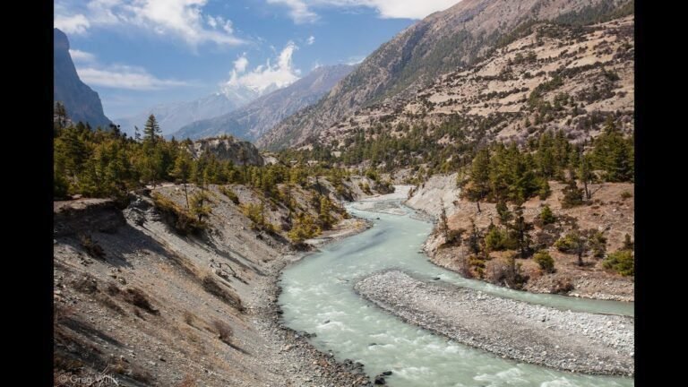 solo travel: Cultural Immersion