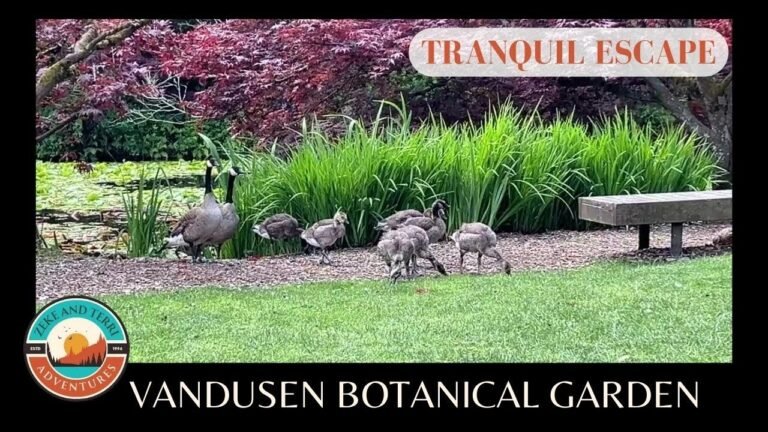 Island travel: Botanical Gardens